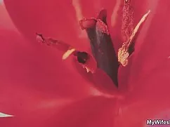 Young beauty enjoys fucking with two anxious gentlemen